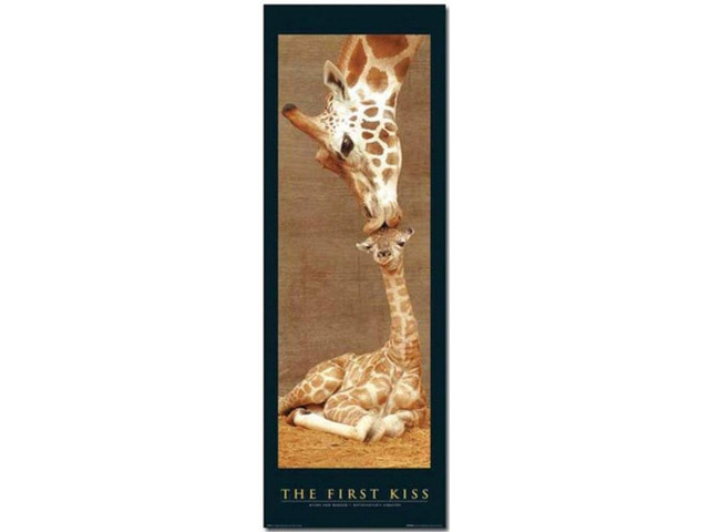 First Kiss Poster Print (21 x 62)