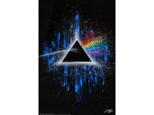 Dark Side Of The Moon By Fishwick Poster Print (22 x 34)