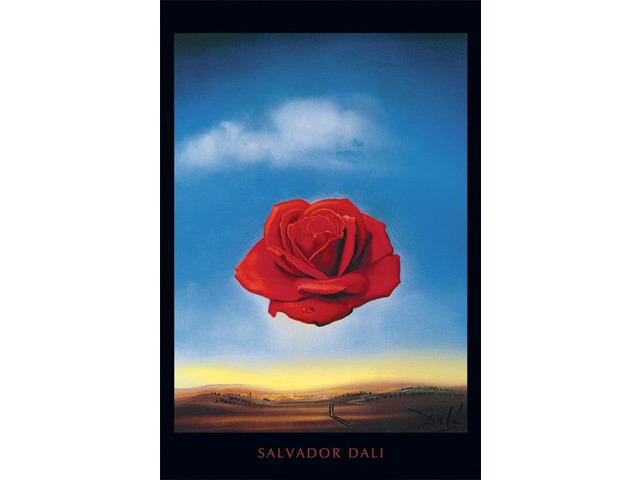 Salvador Dali Rose Poster Print Meditative Rose Poster Print (24 X 36)