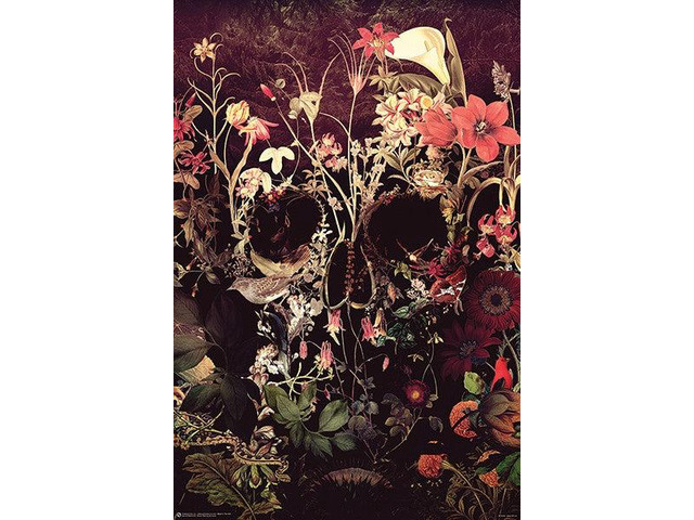 Bloom Skull Ali Gulec Poster Print (22 x 34)