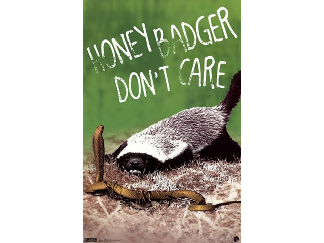 Honey Badger - Don't Care Poster Print (24 x 36)