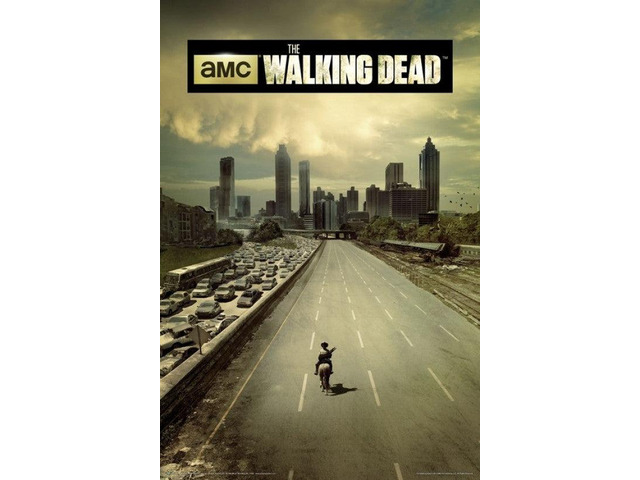 The Walking Dead - Highway Poster (24 x 36)