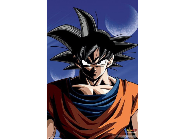 Dragon Ball Z - Goku Poster Print (22 x 34)