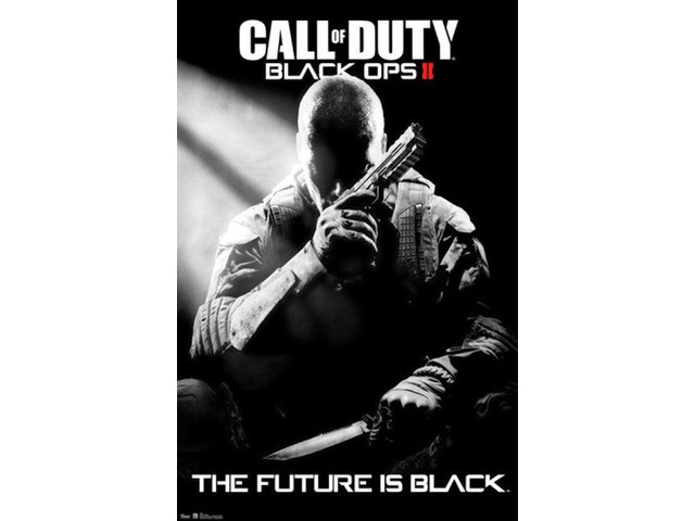 Call of Duty Black Ops II - Stealth Poster Print (24 x 36)