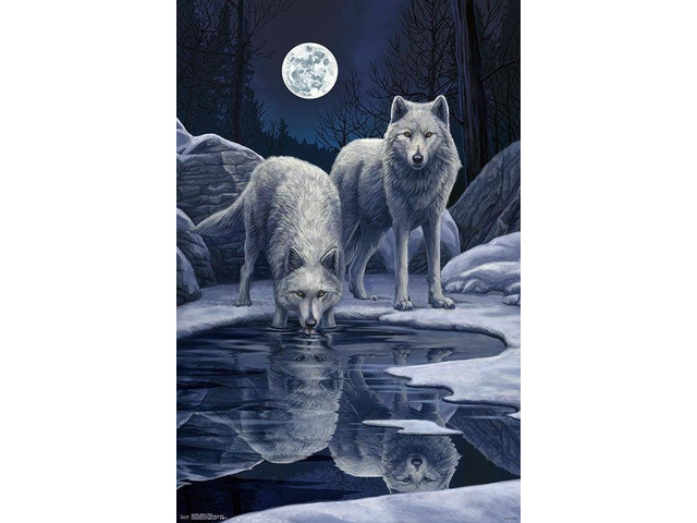 Lisa Parker - Warriors Of Winter Poster Print (22 x 34)