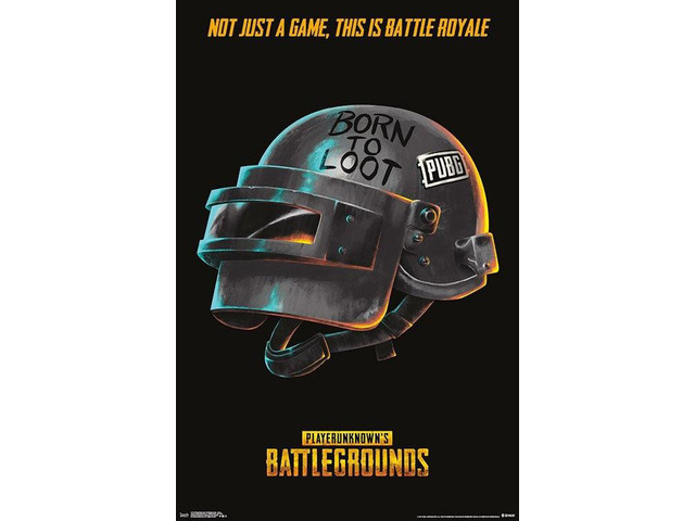 Playerunknown's Battlegrounds (Pubg) - Born Poster Print (22 x 34)