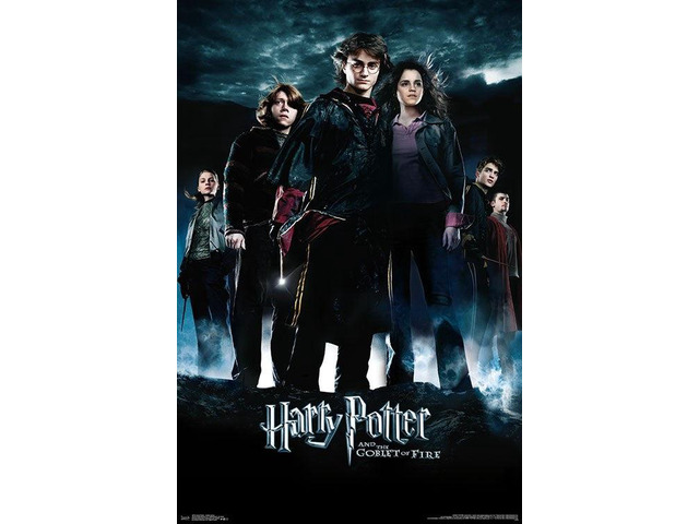 Harry Potter - Goblet Group Poster Print (22 x 34)