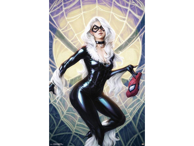 Black Cat - The Amazing Spider-Man #25 Poster Print (22 x 34)