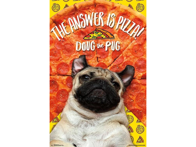 Doug The Pug - Pizza Poster Print (22 x 34)