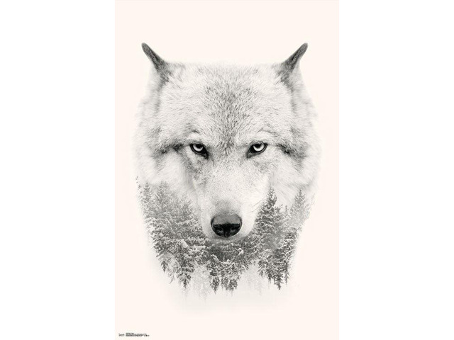 Wolf - Trees Poster Print (22 x 34)