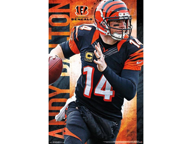 Cincinnati Bengals - Andy Dalton Poster Print (22 x 34)
