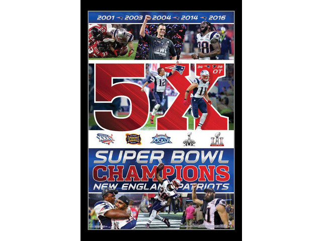 Super Bowl LI - Celebration Poster Print (24 x 36)