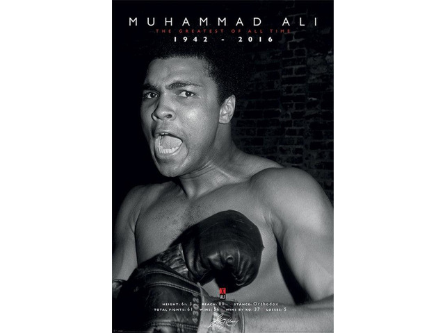 Muhammad Ali Memorial poster 1942 - 2016 Poster (36 x 24)
