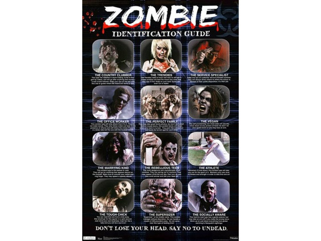 Zombie - ID Guide Poster Print (24 x 36)