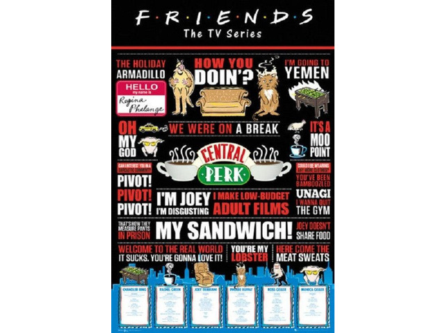 Friends Infographic Poster Print (22 x 34)