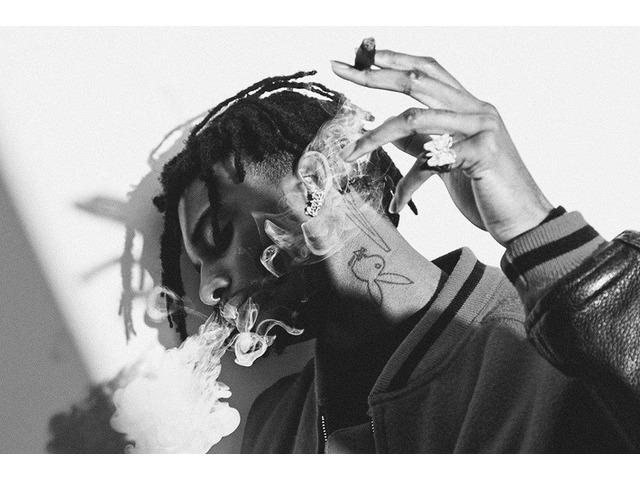 Playboi Carti Smoke Poster Print (22 x 34)