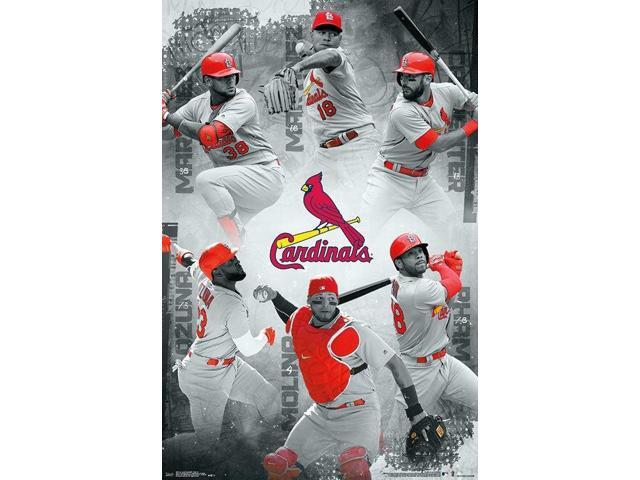 St. Louis Cardinals_ - Team Poster Print (22 x 34)