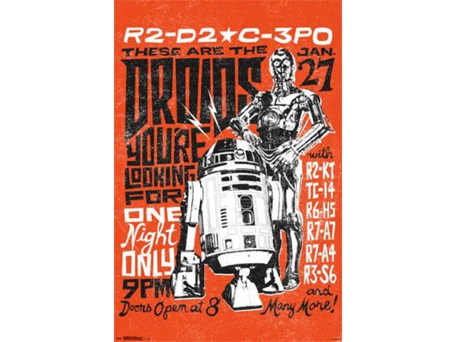 Star Wars - Droids Poster Print (24 x 36)