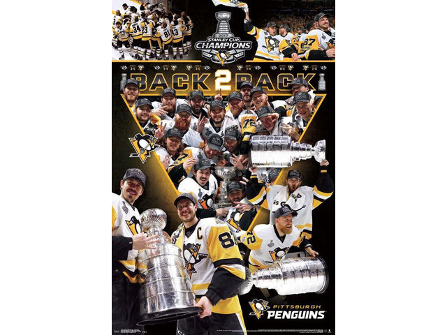 2017 Stanley Cup_ - Celebration Poster Print (22 x 34)