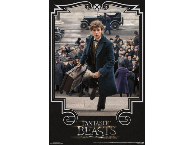 Fantastic Beasts - Newt Steps Poster Print (22 x 34)