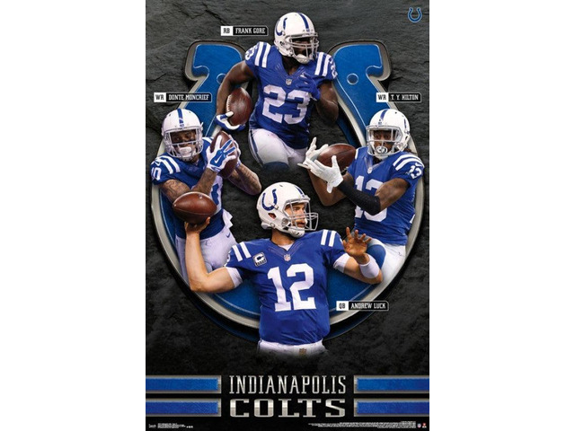 Indianapolis Colts - Team 16 Poster Print (22 x 34)
