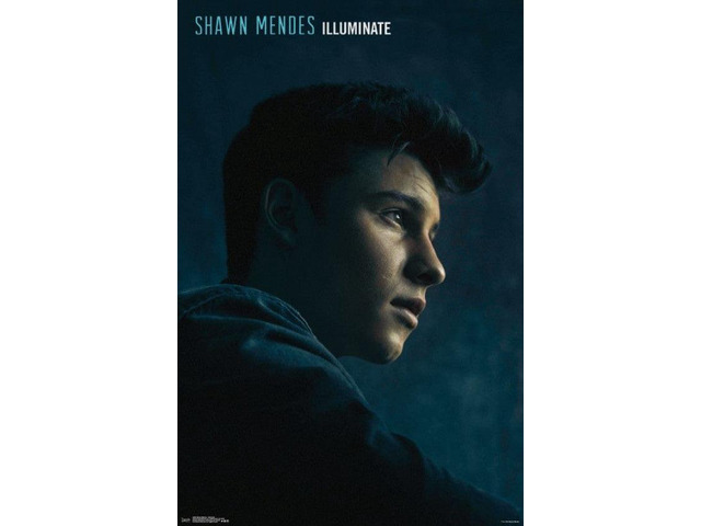 Shawn Mendes - Illuminate Poster Print (22 x 34)