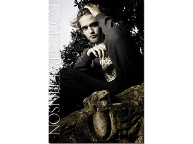 Robert Pattinson - Stone Wall Poster Print (22 x 34)