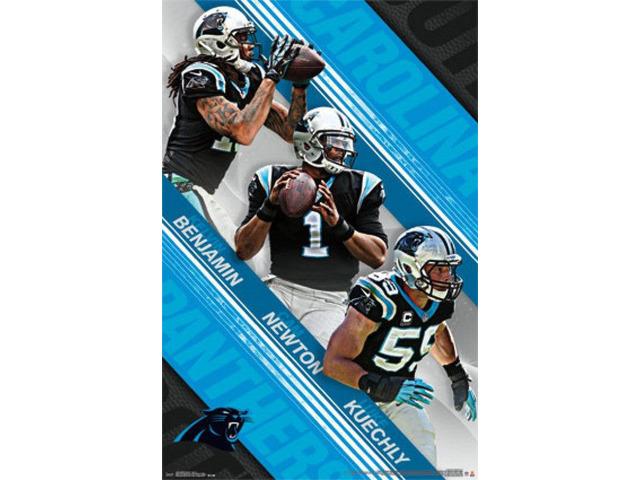 Carolina Panthers - Team 2015 Poster Print (24 x 36)