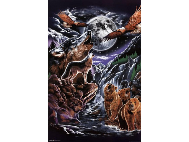 Spiritual Animals Poster Print (22 x 34)