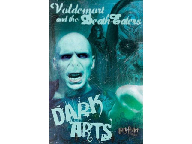 Harry Potter and the Order of the Phoenix - Voldemort & Death Eaters Poster Print (24 x 36)