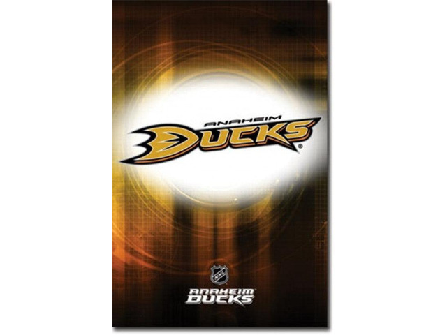 Anaheim Ducks - Logo 2010 Poster Print (24 x 36)