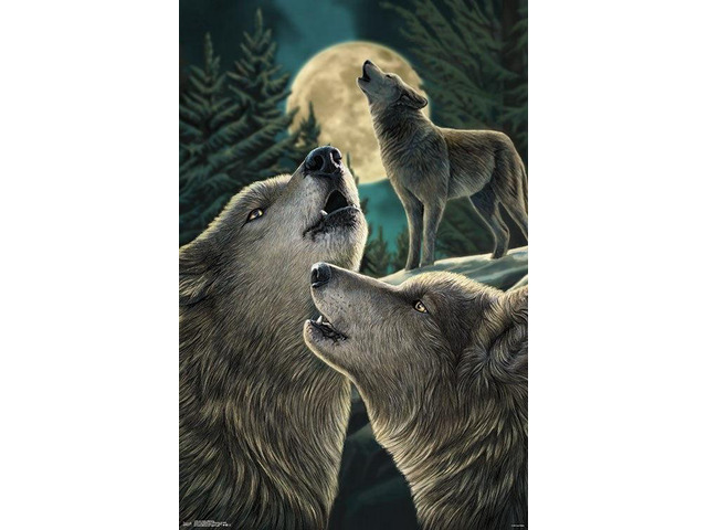 Lisa Parker - Wolf Song Poster Print (22 x 34)