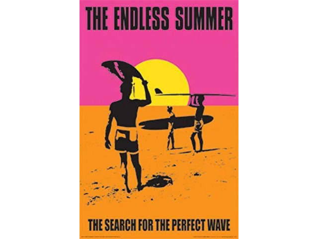 Endless Summer Perfect Wave Poster Print (22 x 34)