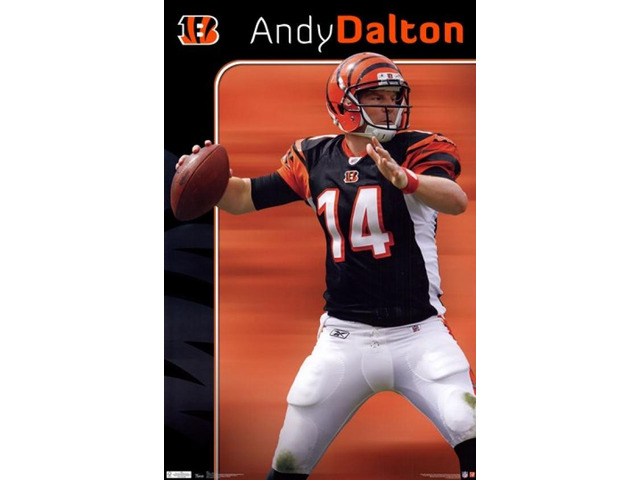 Cincinnati Bengals - Andy Dalton 2011 Poster Print (24 x 36)