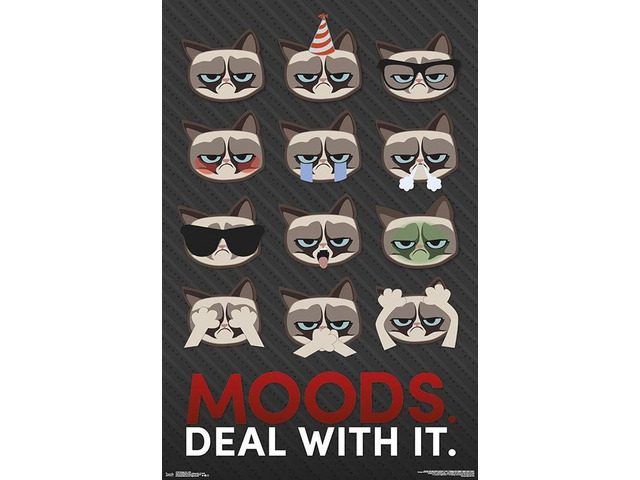 Grumpy Cat - Grid Poster Print (22 x 34)