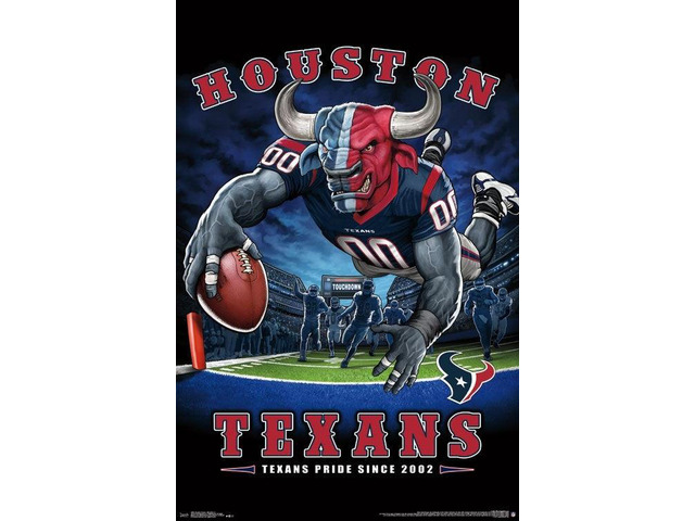 Houston Texans - End Zone Poster Print (22 x 34)