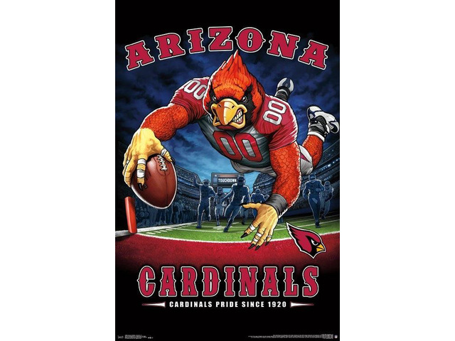 Arizona Cardinals - End Zone Poster Print (22 x 34)