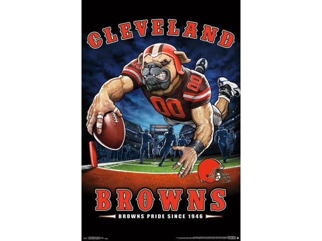 Cleveland Browns - End Zone Poster Print (22 x 34)
