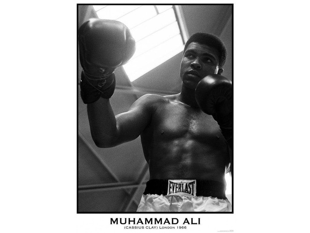 Muhammad Ali Gloves Poster Print (34 x 22)