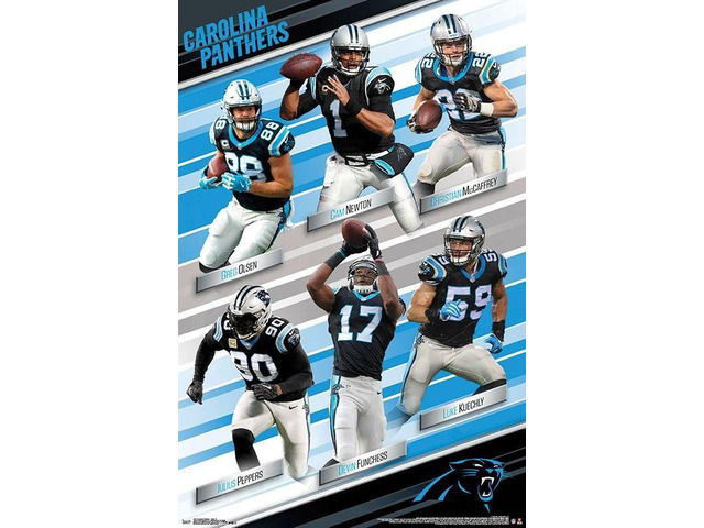 Carolina Panthers - Team Poster Print (22 x 34)