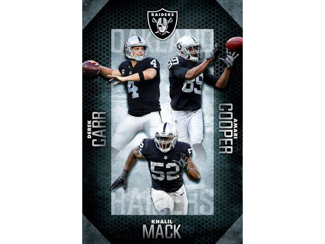 Oakland Raiders - Team 16 Poster Print By (22 x 34)