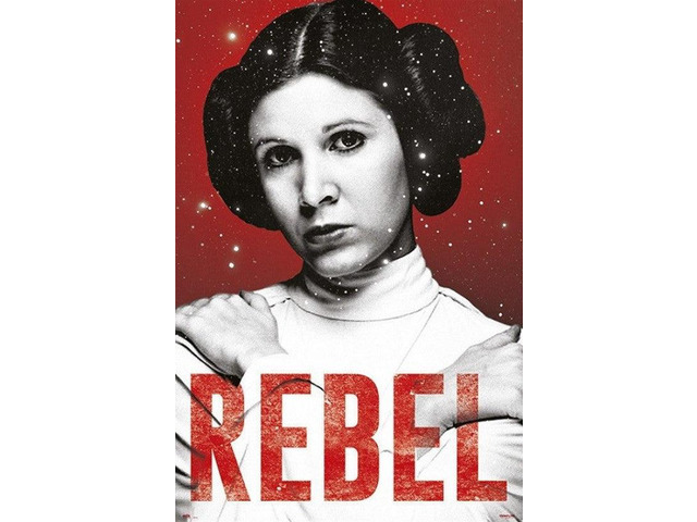 Star Wars Leia Rebel Poster Print (24 X 36)