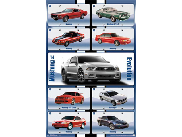 Mustang - Evolution Poster Print (22 x 34)