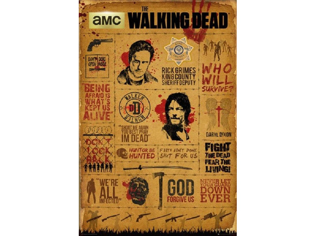 Walking Dead Infographic Poster Print (22 x 34)