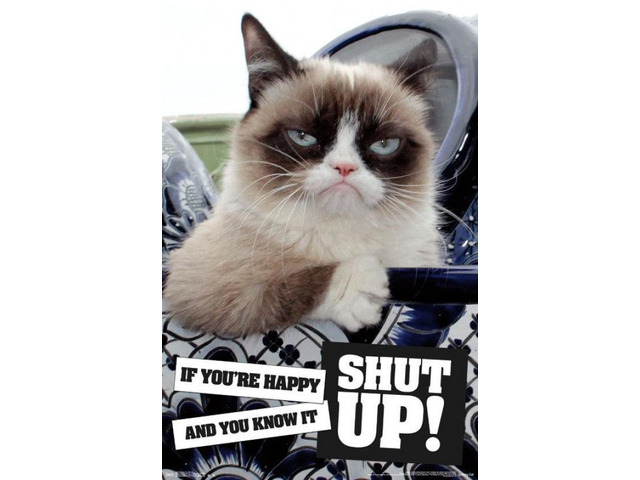 Grumpy Cat - Shut Up Poster Print (22 x 34)