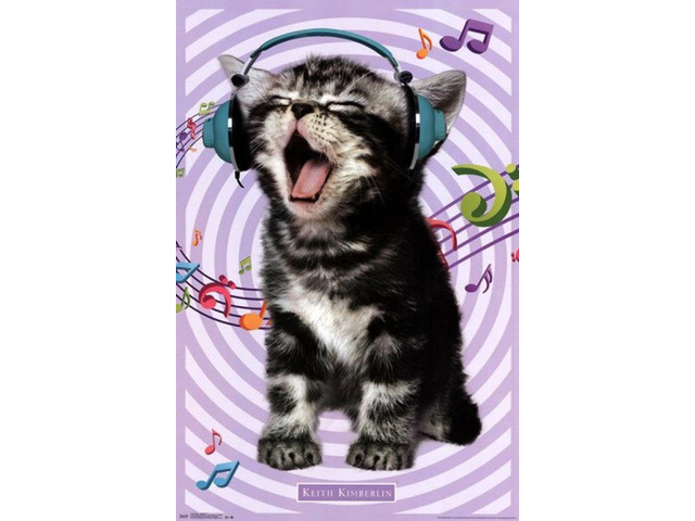 Kitten - Singing 14 Poster Print (22 x 34)