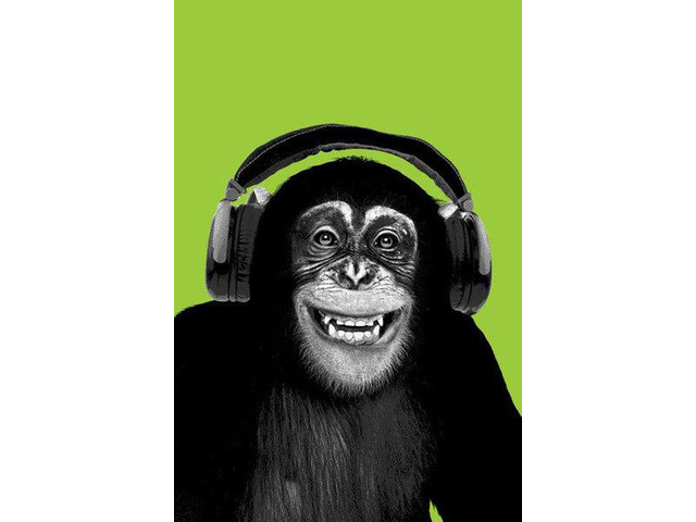 Chimpanzee Headphones Poster Print (22 x 34)