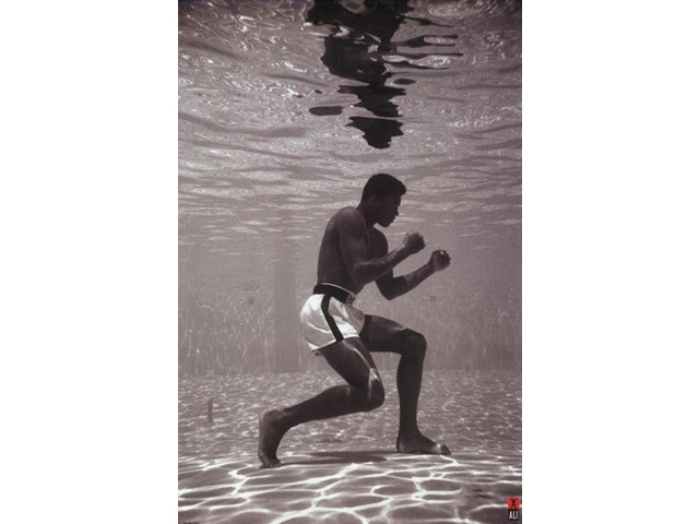 Ali - Underwater Poster Print (24 X 36)