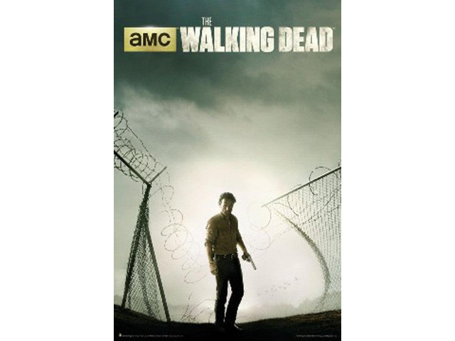 Walking Dead - Key Art Season 4 Poster by (24 x 36)