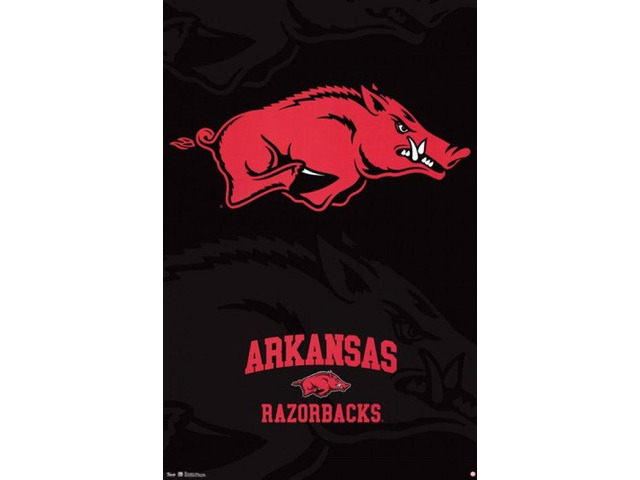 University of Arkansas - Logo 13 Poster Print (24 x 36)